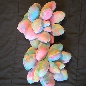Tie Dye succulent pillows
